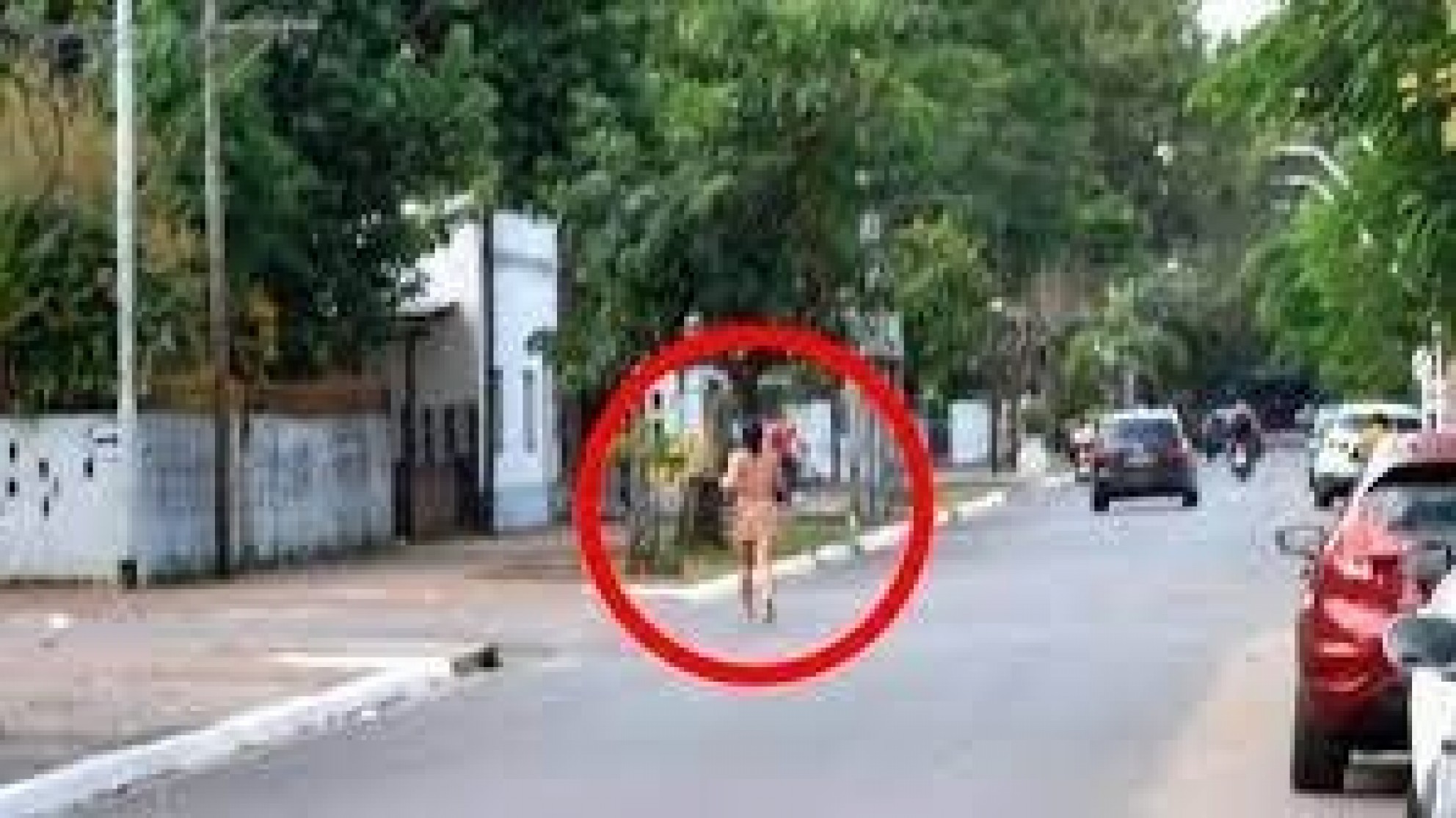 El video más loco del Censo: una mujer salió a correr desnuda y terminó en el río Paraná